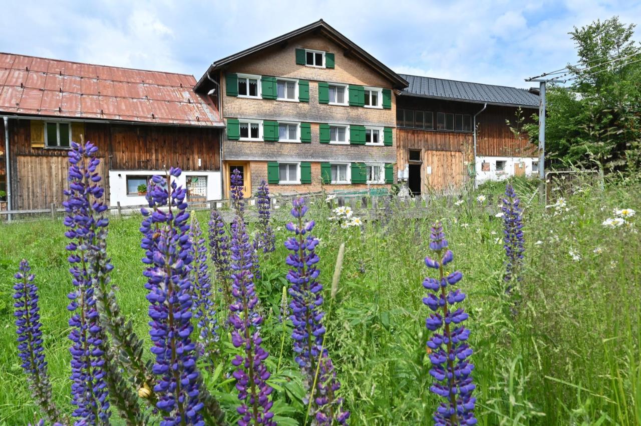 Апартаменты Ferienbauernhof Moosbrugger Шоппернау Экстерьер фото